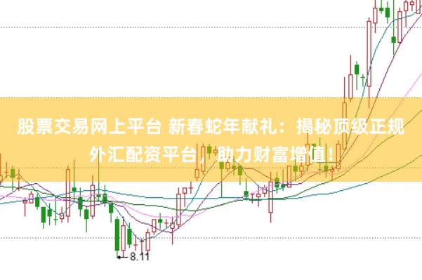 股票交易网上平台 新春蛇年献礼：揭秘顶级正规外汇配资平台，助力财富增值！