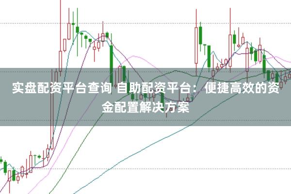 实盘配资平台查询 自助配资平台：便捷高效的资金配置解决方案