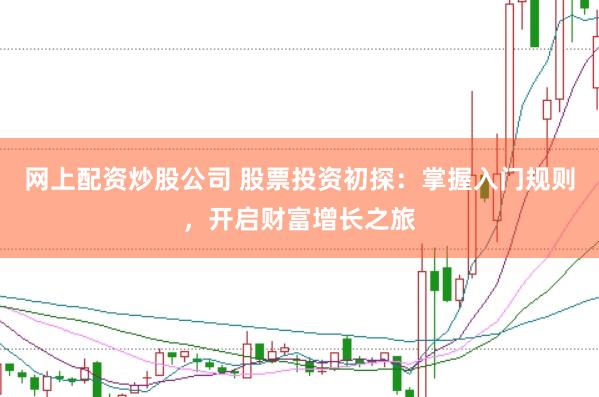 网上配资炒股公司 股票投资初探：掌握入门规则，开启财富增长之旅