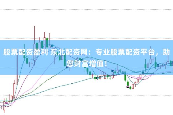 股票配资盈利 东北配资网：专业股票配资平台，助您财富增值！