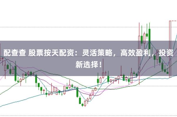 配查查 股票按天配资：灵活策略，高效盈利，投资新选择！