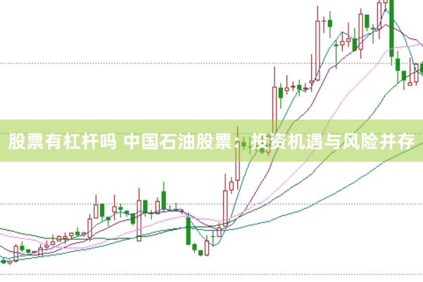 股票有杠杆吗 中国石油股票：投资机遇与风险并存