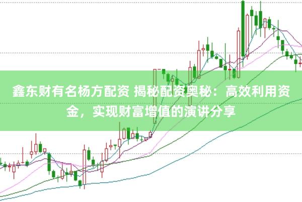 鑫东财有名杨方配资 揭秘配资奥秘：高效利用资金，实现财富增值的演讲分享