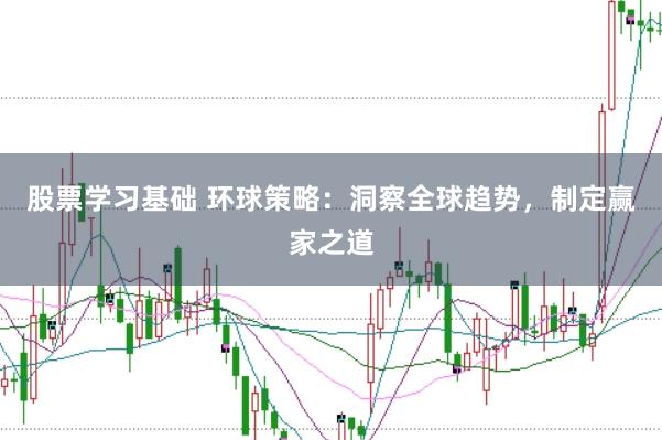 股票学习基础 环球策略：洞察全球趋势，制定赢家之道