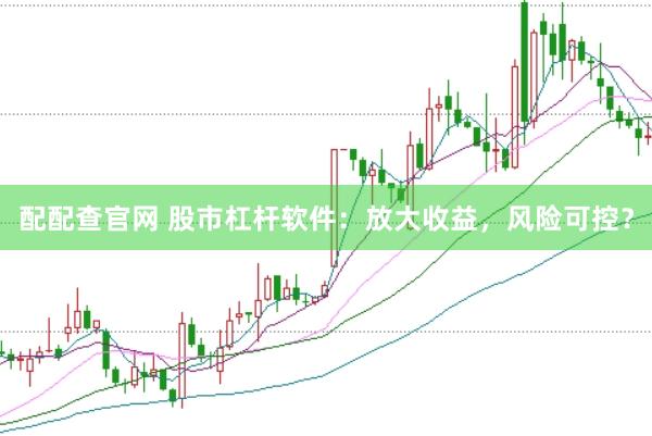配配查官网 股市杠杆软件：放大收益，风险可控？