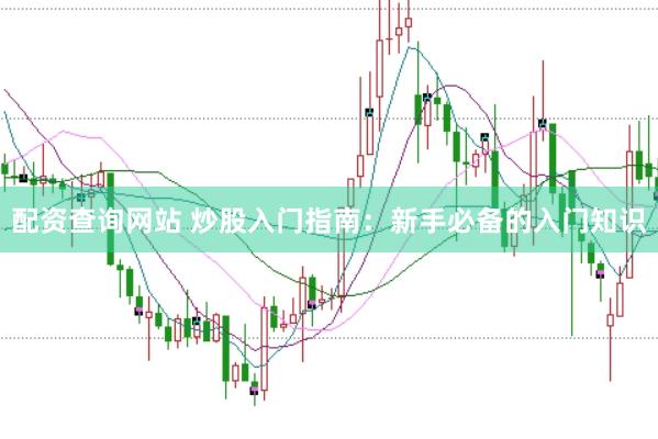 配资查询网站 炒股入门指南：新手必备的入门知识