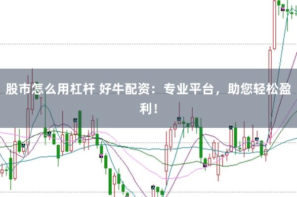 股市怎么用杠杆 好牛配资：专业平台，助您轻松盈利！