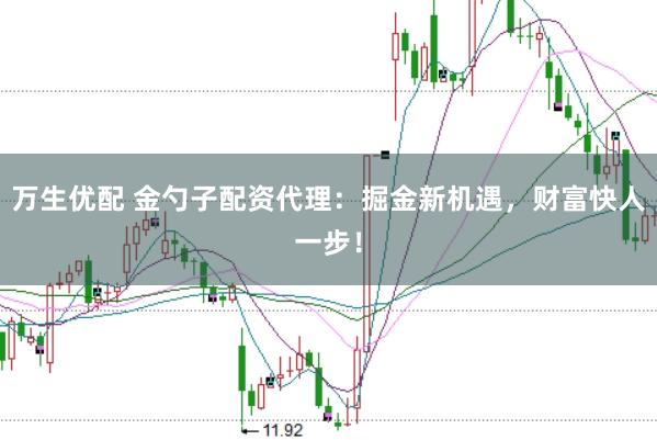 万生优配 金勺子配资代理:掘金新机遇,财富快人一步!