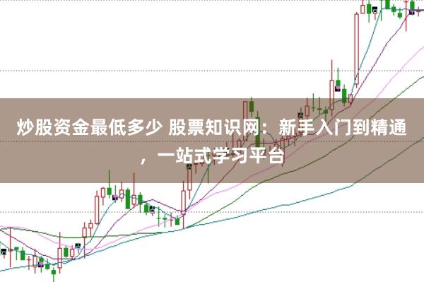 炒股资金最低多少 股票知识网:新手入门到精通,一站式学习平台