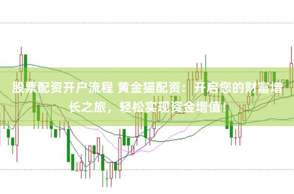 股票配资开户流程 黄金猫配资:开启您的财富增长之旅,轻松实现资金增值!