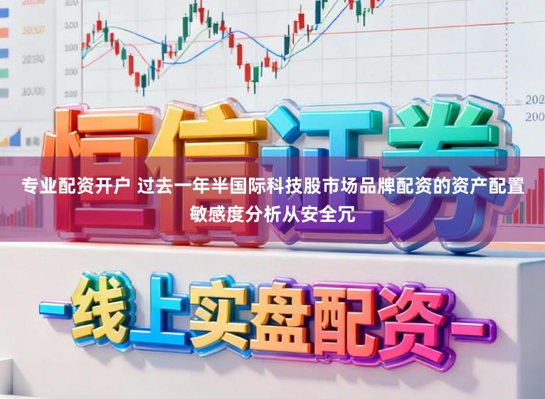 专业配资开户 过去一年半国际科技股市场品牌配资的资产配置敏感度分析从安全冗